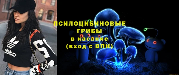 Альфа ПВП Беломорск